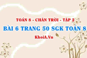 Bài 6 trang 50 Toán 8 Chân trời sáng tạo Tập 2